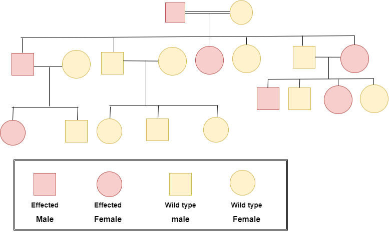 What is Sigle Gene Disorders?