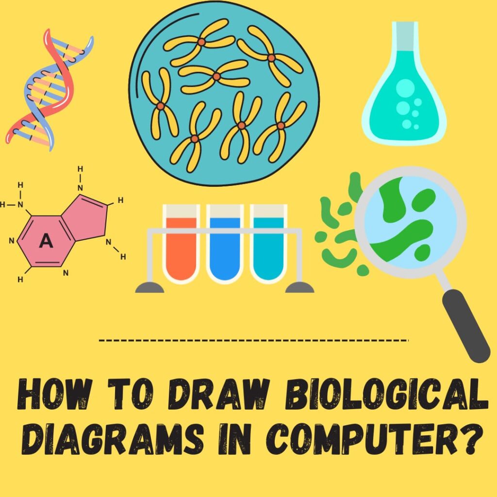 How to draw biological digram in computer? Biological figure drawing ...