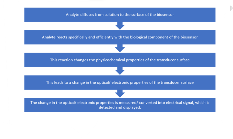 INTRODUCTION TO BIOSENSORS: PIONEERING THE FUTURE OF ANALYTICAL ...