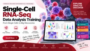 Single-Cell RNA-Seq Data Analysis Training